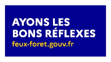 feux foret